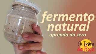 FERMENTO NATURAL  Com massa mãe  FÁCIL DE FAZER  Levain [upl. by Nylahs]