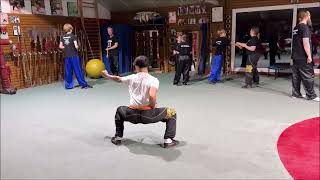 Taolu Kung Fu Quan live GETSA student GM Walter Toch [upl. by Doloritas]