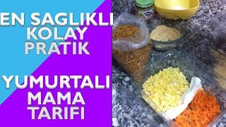 Kolay Yumurtalı Mama Nasıl Yapılır  Cennet Papağanı [upl. by Enelrats610]