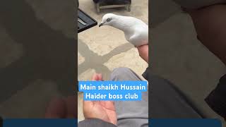 Main shaikh Hussain Haider boss club [upl. by Adikam]