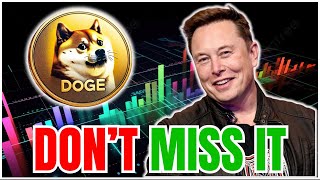 DOGE Price SOARS While Market Crashes Can It Hit 1 Dogecoin News Today [upl. by Okechuku]