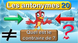 Quel est le Contraire des Mots  Jeu de langue française  les antonymes français [upl. by Anujra]