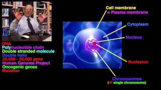 Xeroderma pigmentosum amp Skin Colour Ep15 [upl. by Ahsenra]