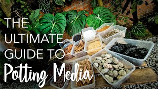 PART 1 ULTIMATE GUIDE to Potting Media 13 types  Perlite vs Pumice Cocopeat vs Peat Moss amp more [upl. by Marji]