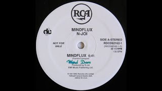 NJoy  Mindflux 1991 [upl. by Namyl]