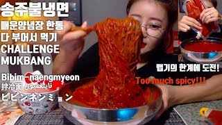 ENG송주불냉면 매운양념장 한통 다 부어먹기 도전 먹방 Challenge mukbang spicy Bibimnaengmyeon 拌冷面 ビビンネンミョン ناينغميون [upl. by Banks]