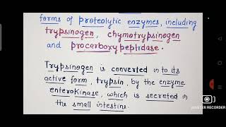 Role of Pancreatic juice in digestion of proteins Ch16 Digestion CLASS 11 BIOLOGY [upl. by Adlanor]