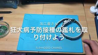 愛犬の首輪に鑑札を付けてみよう！ [upl. by Artep]