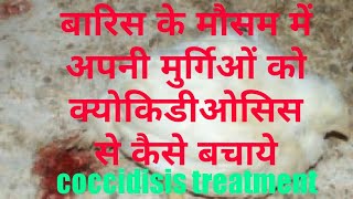 पोल्ट्री में खुनी दस्तcoccidiosis का इलाज  Coccidiosis in poultry  मुर्गिओं की बिट में खून [upl. by Ries]