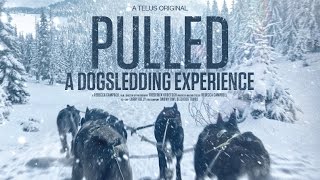 Pulled  A Dog Sledding Experience [upl. by Trout]