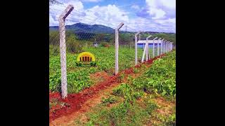 Chainlink fence with precast concrete poles [upl. by Barrow478]