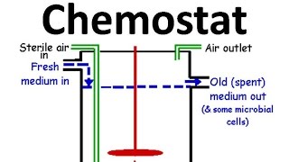 Chemostat [upl. by Luing606]