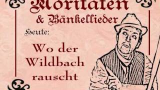 wo der Wildbach rauscht [upl. by Lletnuahs695]