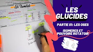 📣 Biochimie  2 LES GLUCIDES PARTIE 01  Les Oses  Les isomères 👌 SNVUSTHBBIOCHIMIEMEDECINE [upl. by Artnoed]