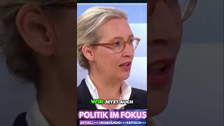 CDU und FDP Alte AfD Anträge Neu Aufgerollt Alice Weidel AfD [upl. by Tedder433]