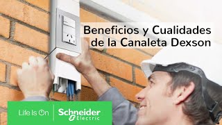 Beneficios y Cualidades de la Canaleta Dexson  Schneider Electric Latinoamérica [upl. by Hairej]