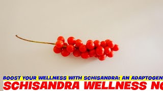 Boost Your Wellness with Schisandra An Adaptogenic Powerhouse [upl. by Ruskin]