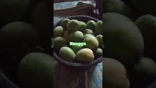 Mangga [upl. by Gridley591]