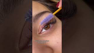 Natural Eyelash Extensions  Classic Lash Style [upl. by Akinyt253]