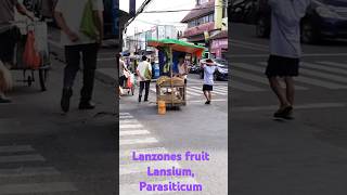 Lanzones fruit vendorlongkongdukudokongshortsvideo shortsvideoviral [upl. by Ennaihs]