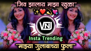 माझ्या गुलाबाच्या फुला • jiv zalay maza khula maze gulabache fula dj song  VNJ Remix [upl. by Hgielsa]