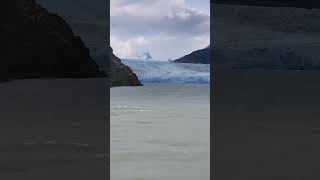 Grey Lake  Southern Patagonia  Chile shorts shortvideos adventurousdesi naturelovers [upl. by Arolf303]