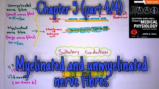 Myelinated nerve fibers  chapter 5 part 44  Guyton and hall text book of medical physiology [upl. by Esereht448]