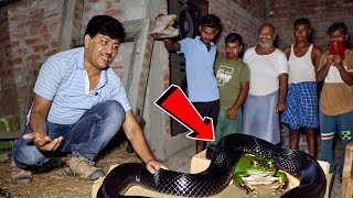 मेंढक को खाने आया ज़हरीला Cobra साँप  घर में घुसने से मचा हड़कंप आधी रात को पहुँचे Guddu Maurya G [upl. by Nilpik]