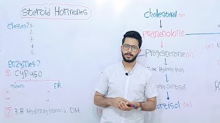 steroid Hormones biosynthesis [upl. by Yddet704]