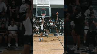 Almost Touching Top Of The Backboard With 2 Hands Is RIDICULOUS [upl. by Sleinad]