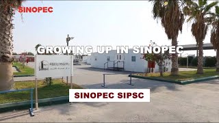 Growing up in Sinopec [upl. by Nwahsat175]