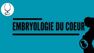 Embryologie du coeur [upl. by Laumas]