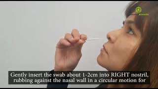 InnoScreen  Nasal Rapid Antigen Test [upl. by Neuberger17]