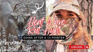 Heat Wave Hunting a 13 Pointer  Whitetail Deer Hunt in Maryland [upl. by Gina]