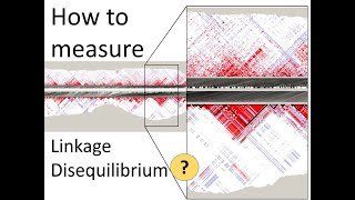 How to measure Linkage disequilibrium LD  Genomics [upl. by Fachini]