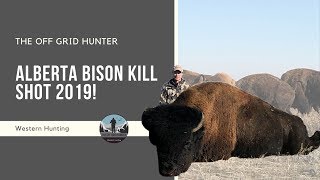 Bison Kill Shot Buffalo Hunt BUFFALO  SUPER SLAM [upl. by Yewed]