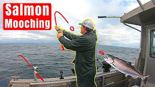 How to Mooch for Salmon Salmon Mooching [upl. by Weyermann]