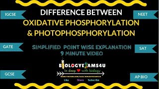 Difference between Oxidative phosphorylation and Photophosphorylation [upl. by Redyr489]