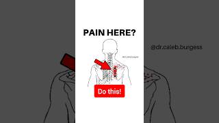 Get Rid of Scapular  Rhomboid Pain with these Exercises [upl. by Persson]