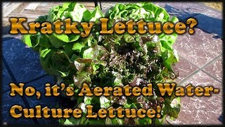 Hydroponics  Easily Grow Lettuce [upl. by Russia120]