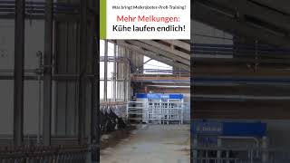 Bei Joachim laufen die Kühe endlich besser zum Melkroboter delaval melkroboter kühe [upl. by Ruddie]