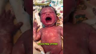 Funny newborns crying 😢 😭 baby viralvideo viraltrendingshorts viralshort best youtube cute [upl. by Nolyarg]