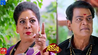 Gowramma Serial Promo  21st October 2021  Gowramma Telugu Serial  Mallemalatv [upl. by Yekcin]