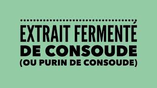 Recette du purin de consoude [upl. by Linker]