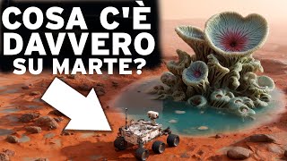 Esiste davvero una VITA ESTRATERRESTRIALE nel nostro Sistema Solare  Spazio DOCUMENTARIO [upl. by Noseyt374]