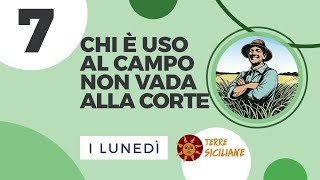 Chi è Uso al Campo non vada alla Corte 7 [upl. by Anirda]