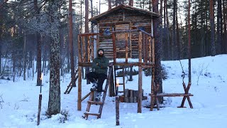 1 Year of Building a Treehouse Alone  From Start to Finish [upl. by Schluter]