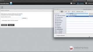 Importar contactos de Gmail a RoundCube [upl. by Powe713]