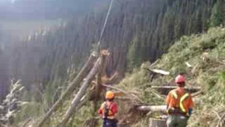 Skyline logging in Blue River BC 2 [upl. by Sholeen48]