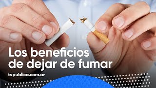 Beneficios inmediatos y a largo plazo dejar de fumar – En Casa Salud [upl. by Hollyanne553]